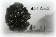 Alek Guzik