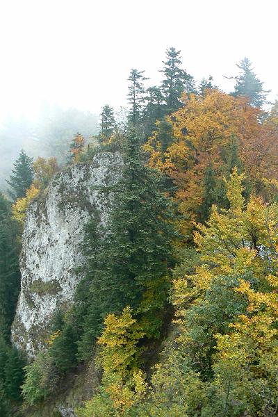 pieniny_ws_0872.jpg