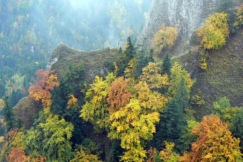 pieniny_ws_0875.jpg