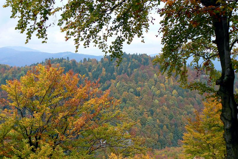 pieniny_ws_0899.jpg