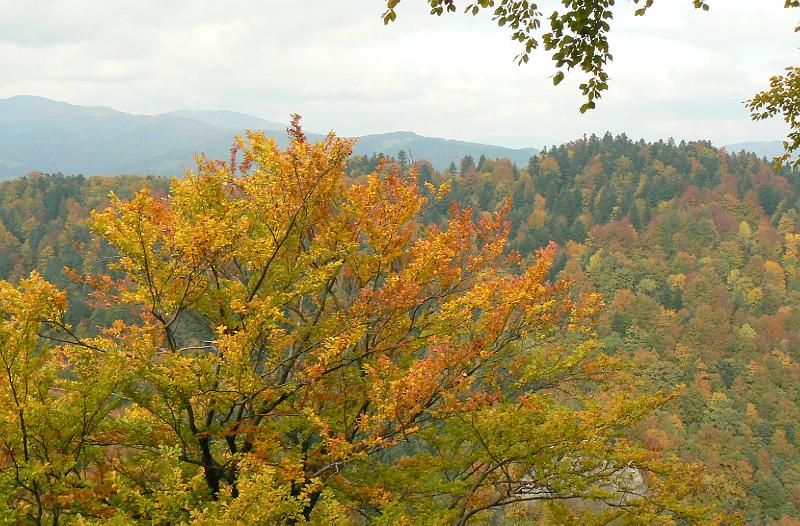 pieniny_ws_0908.jpg