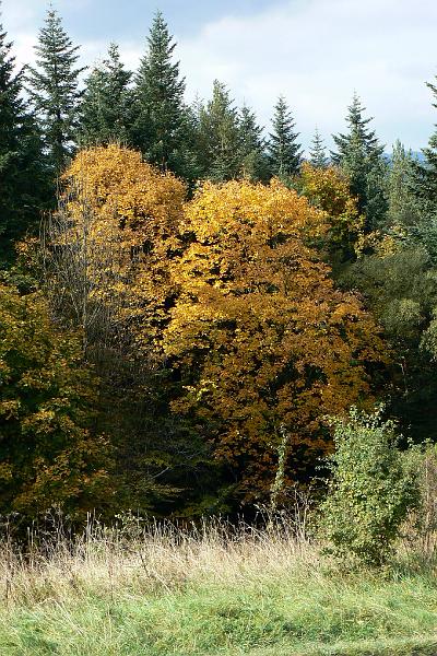 pieniny_ws_0921.jpg