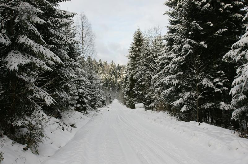 bieszczady_ga_0429.jpg