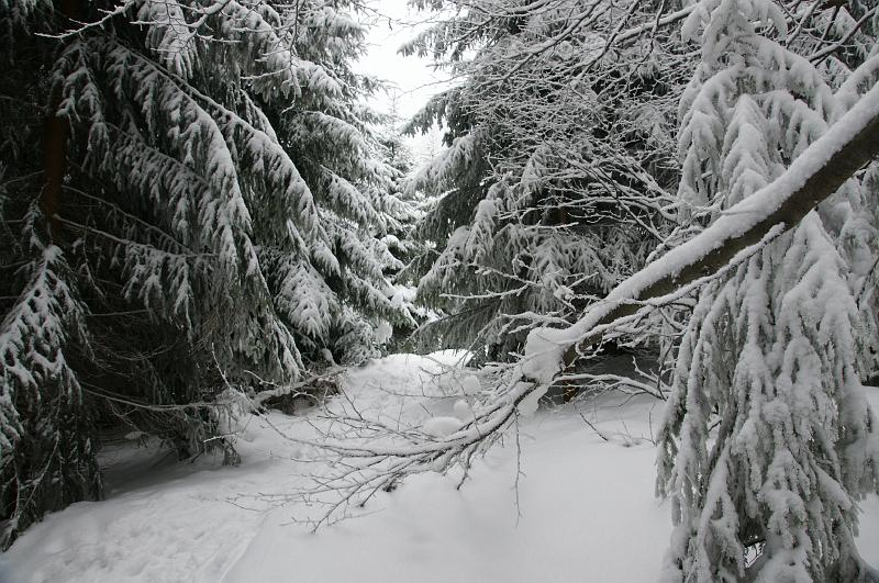 bieszczady_ga_0458.jpg