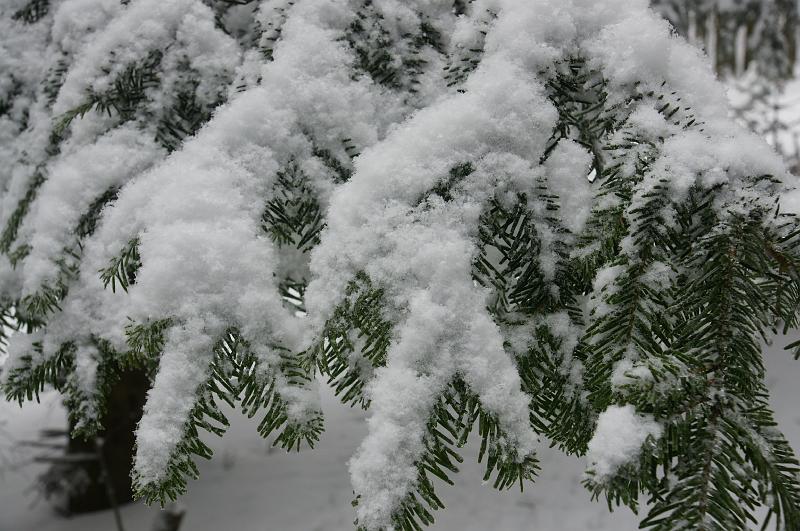 bieszczady_ga_0464.jpg