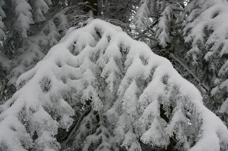 bieszczady_ga_0470.jpg