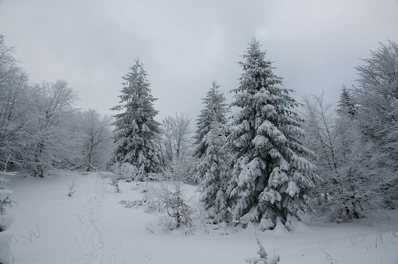 bieszczady_ga_0476.jpg