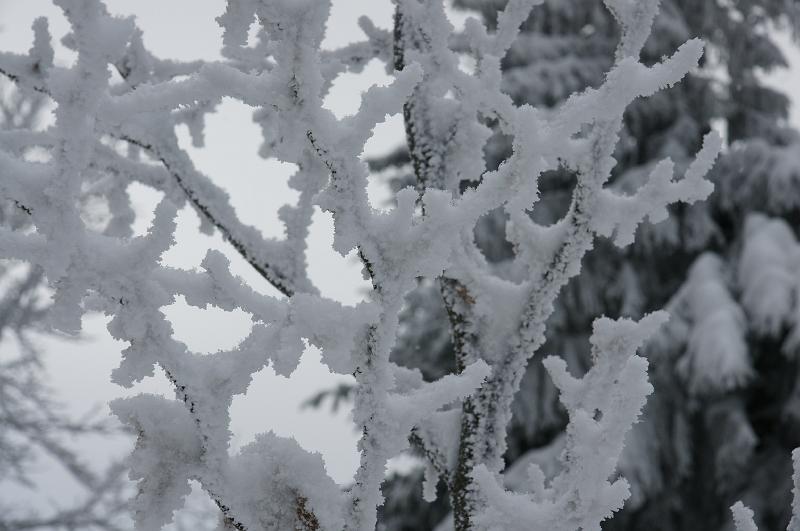 bieszczady_ga_0480.jpg