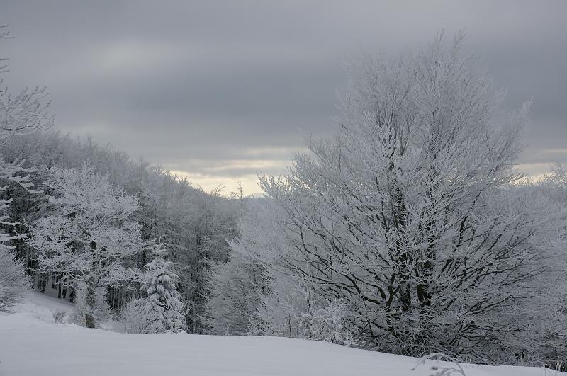 bieszczady_ga_0499.jpg