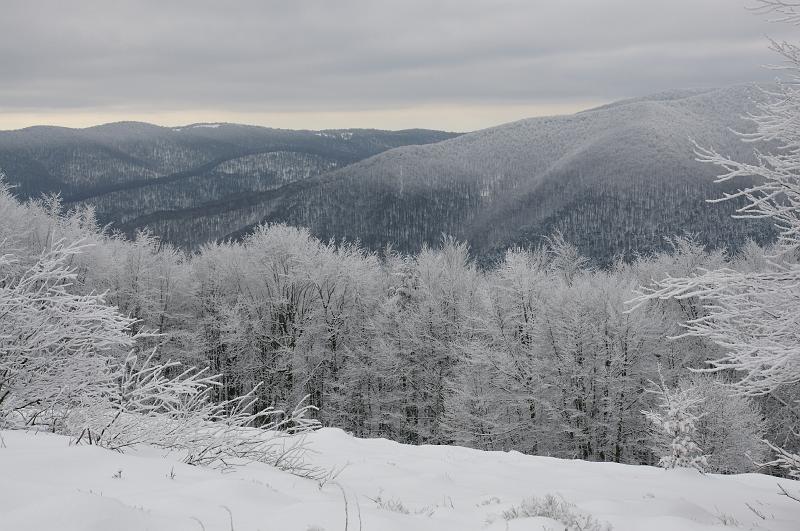 bieszczady_ga_0502.jpg