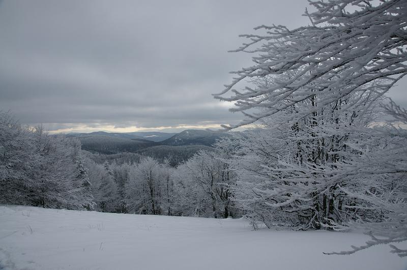 bieszczady_ga_0507.jpg