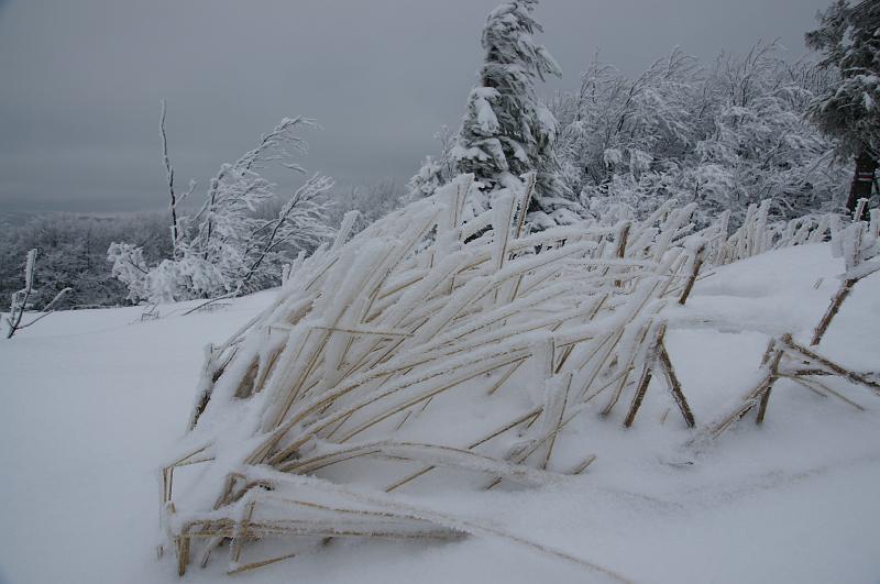 bieszczady_ga_0517.jpg