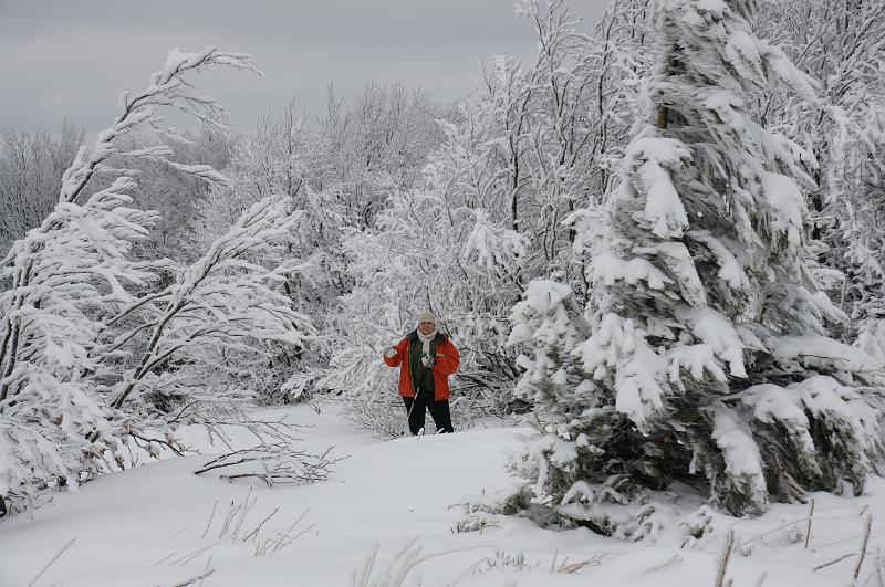 bieszczady_ga_0525.jpg