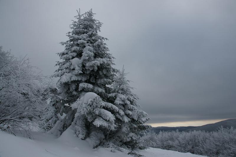 bieszczady_ga_0581.jpg