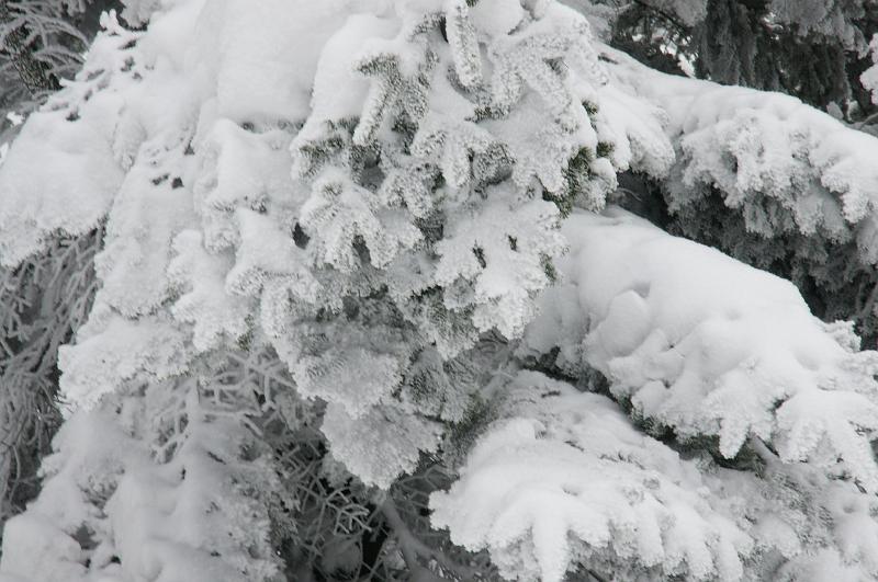 bieszczady_ga_0584.jpg