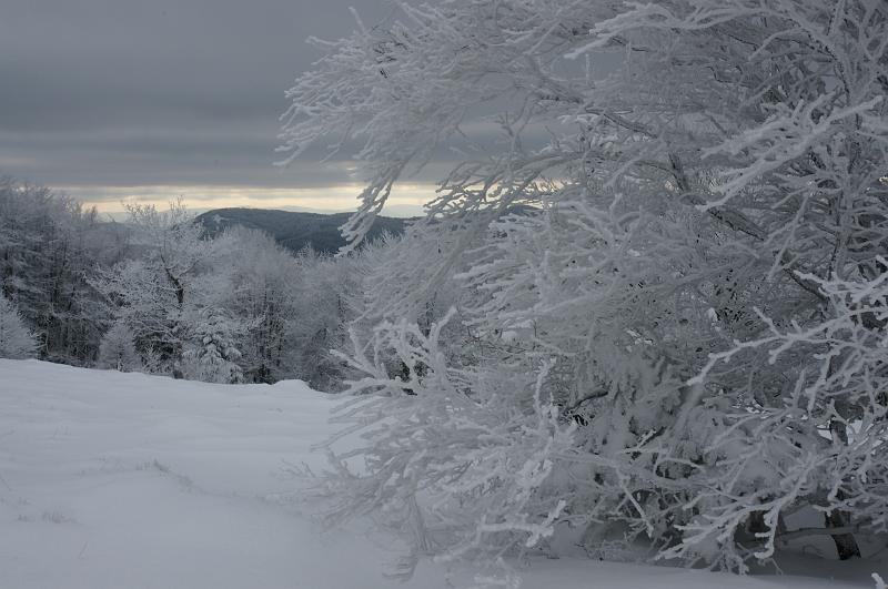 bieszczady_ga_0585.jpg