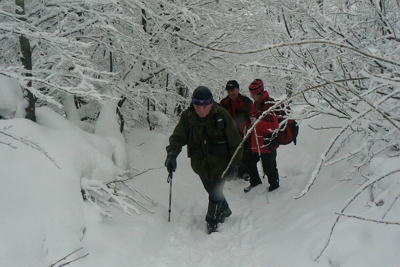 bieszczady_ws_0731.jpg