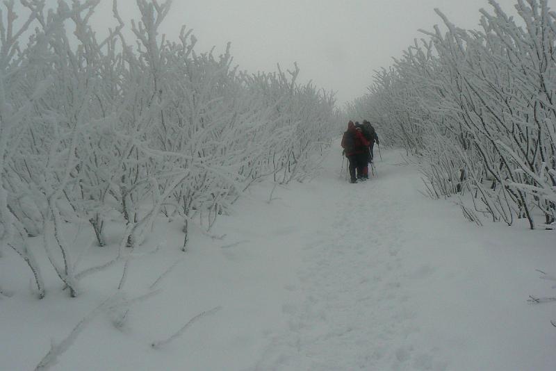 bieszczady_ws_0738.jpg