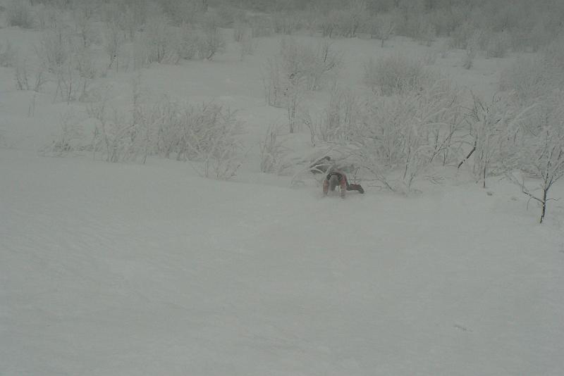 bieszczady_ws_0809.jpg