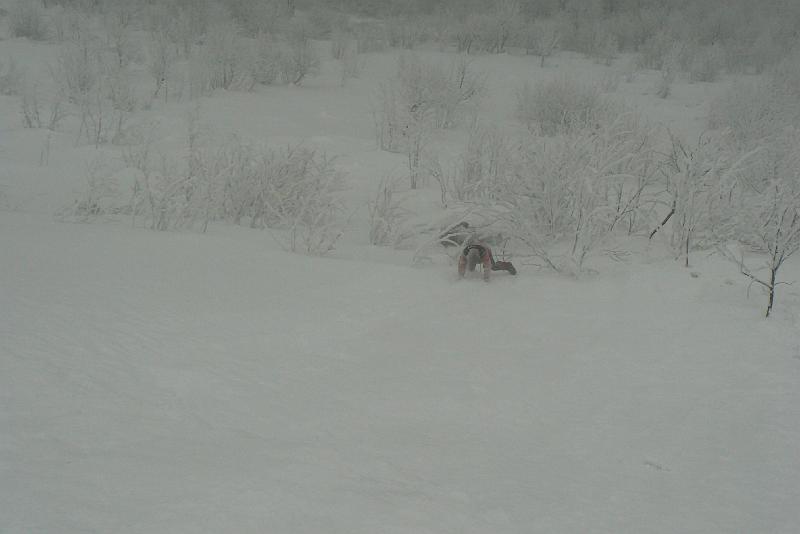 bieszczady_ws_0809.jpg