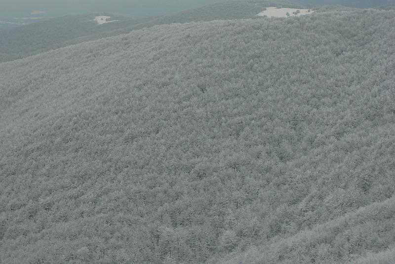 bieszczady_ws_0813.jpg