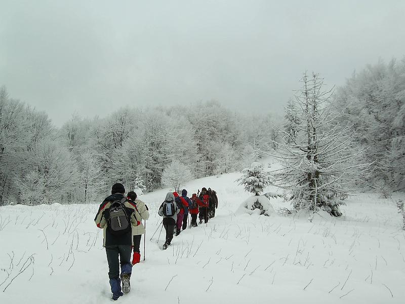 bieszczady_zs_0015.jpg