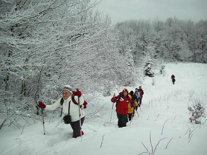 bieszczady_zs_0017.jpg