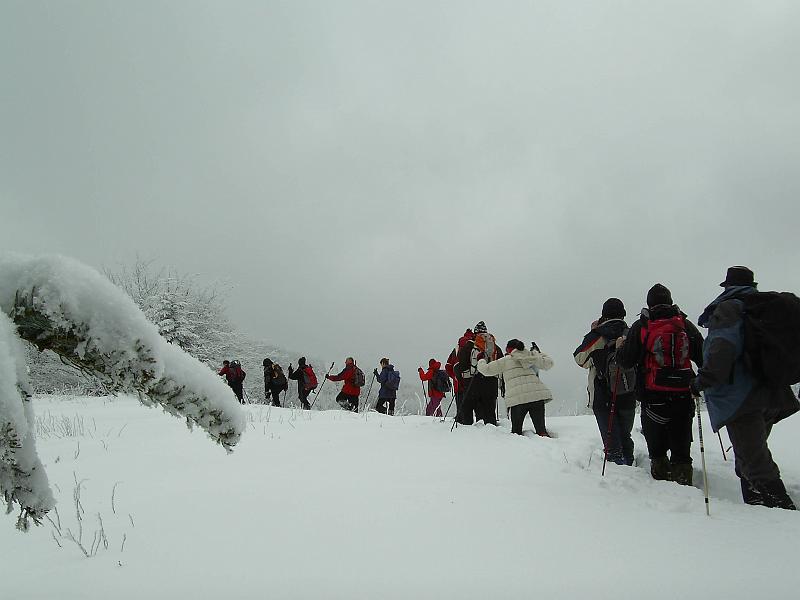 bieszczady_zs_0022.jpg