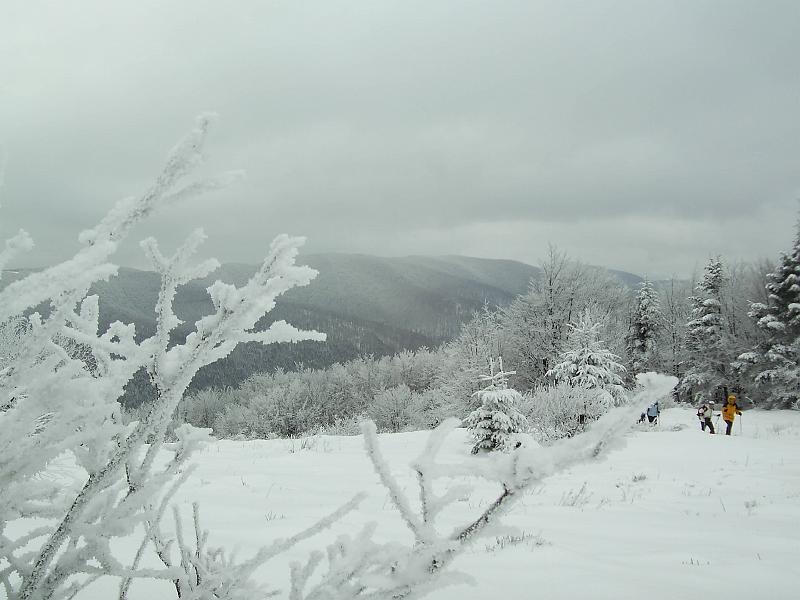 bieszczady_zs_0028.jpg