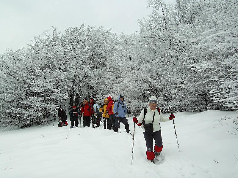 bieszczady_zs_0031.jpg