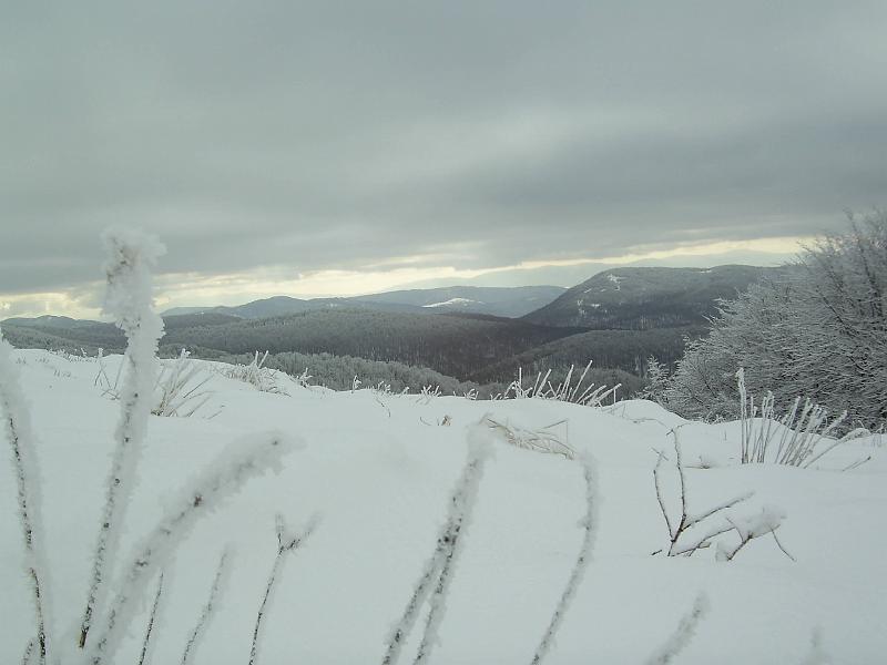 bieszczady_zs_0033.jpg