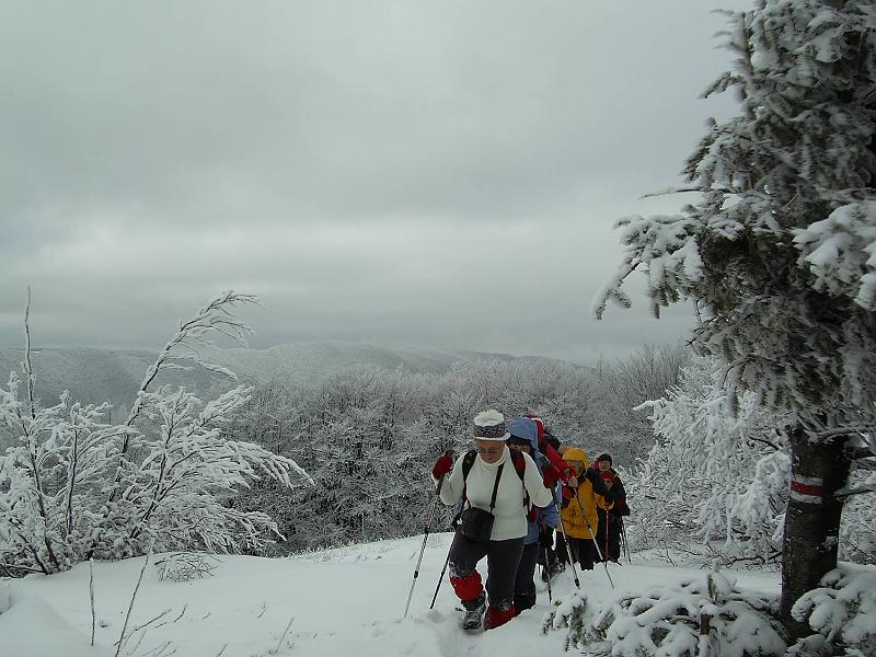 bieszczady_zs_0036.jpg