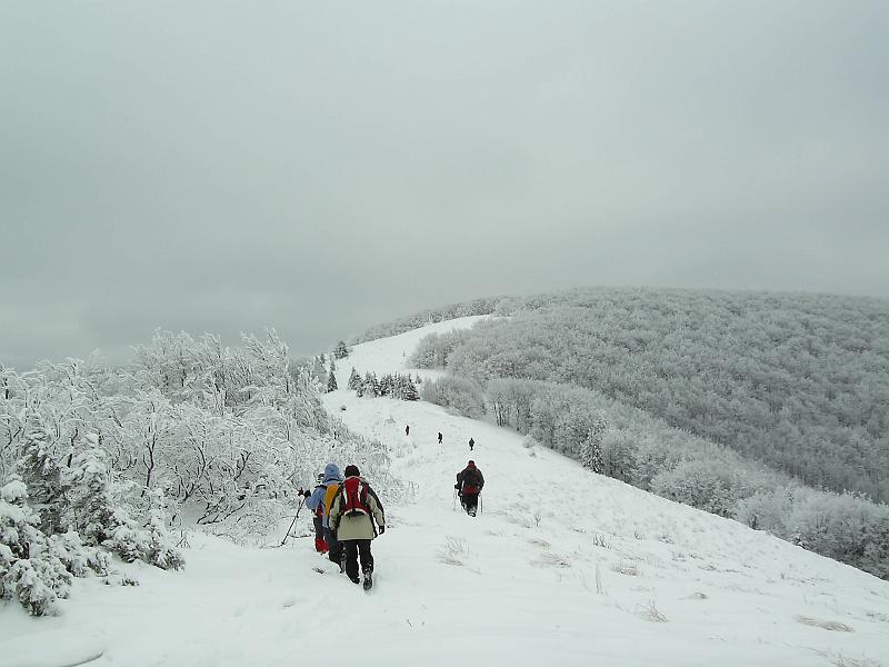 bieszczady_zs_0049.jpg