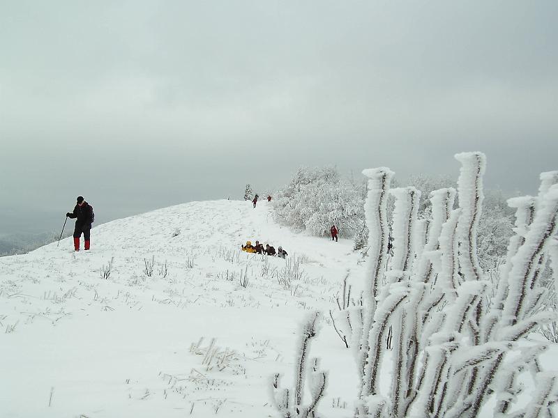 bieszczady_zs_0051.jpg