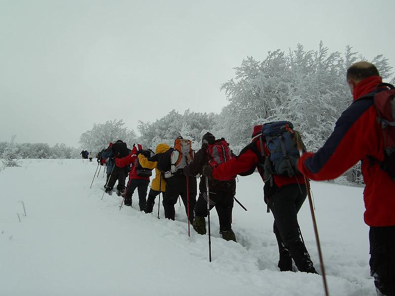 bieszczady_zs_0058.jpg