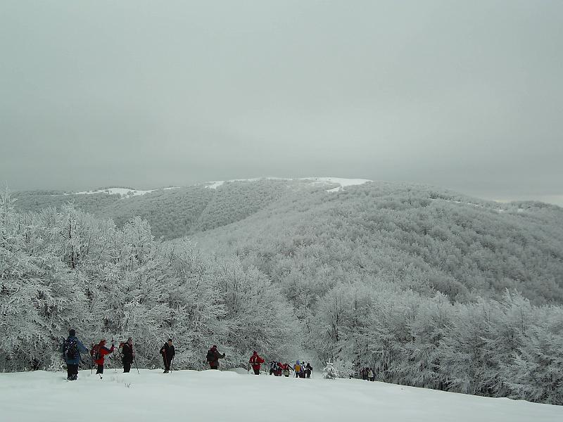 bieszczady_zs_0069.jpg