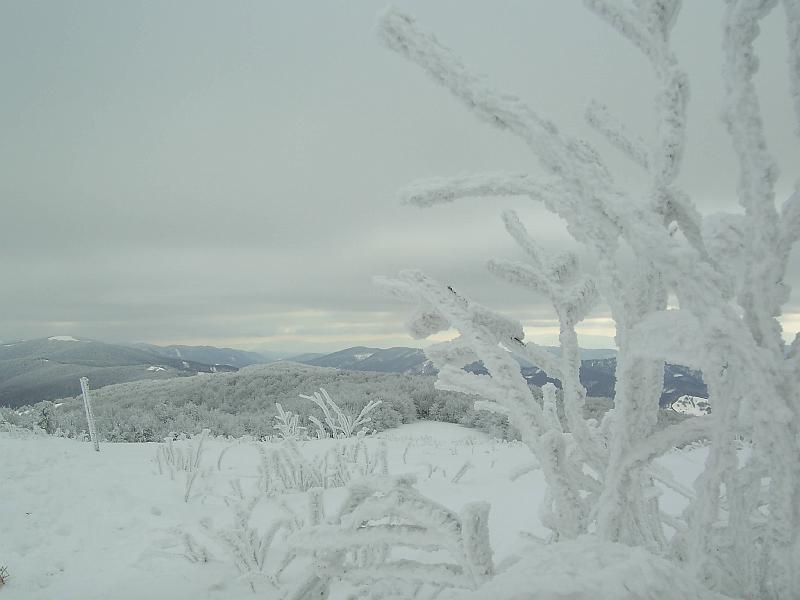 bieszczady_zs_0083.jpg