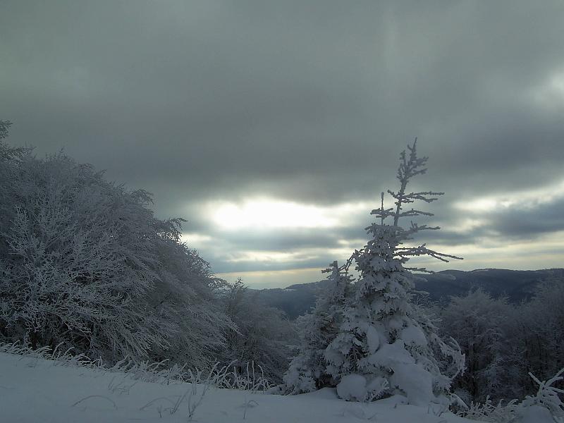 bieszczady_zs_0105.jpg