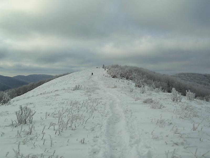 bieszczady_zs_0108.jpg