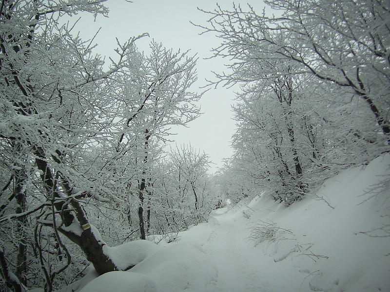 bieszczady_zs_0116.jpg