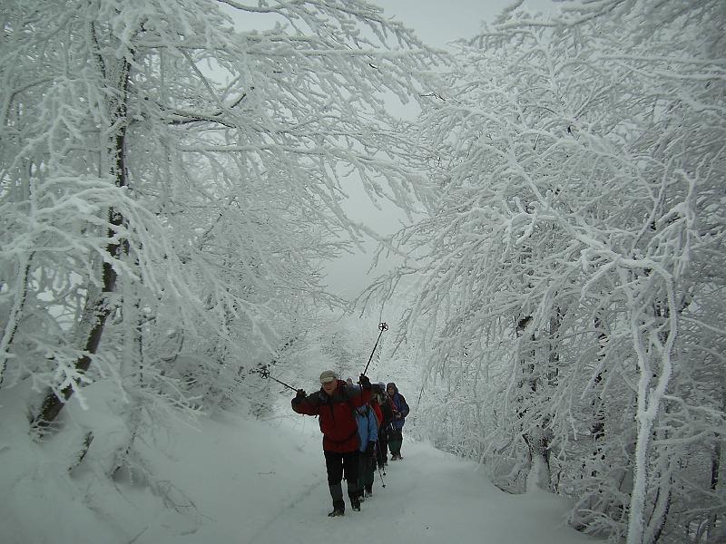 bieszczady_zs_0119.jpg