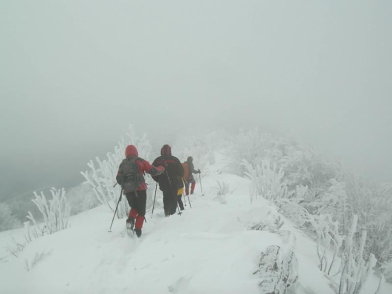 bieszczady_zs_0138.jpg