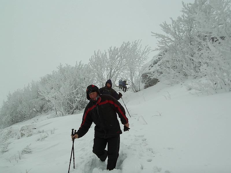 bieszczady_zs_0141.jpg