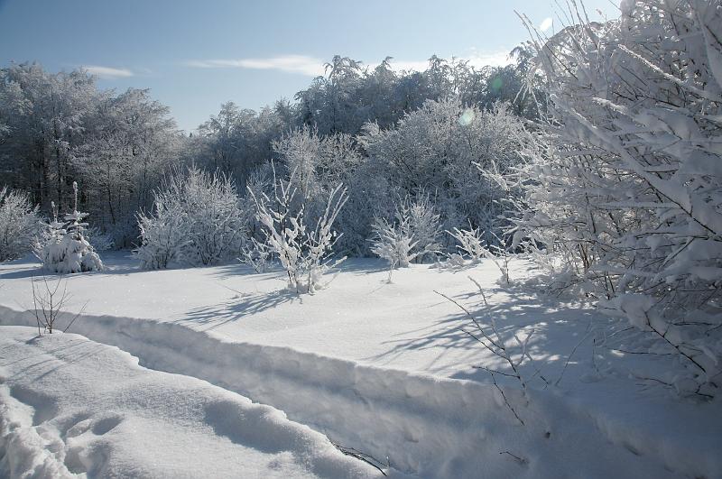 luban_ga_1147.jpg