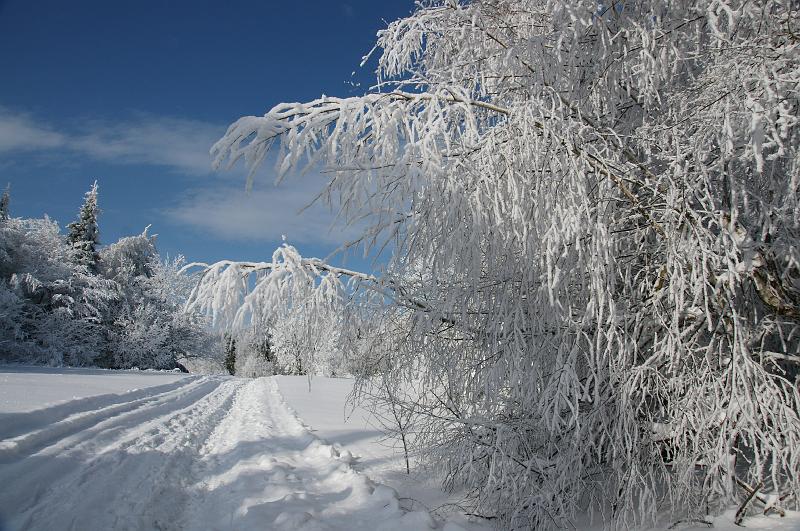 luban_ga_1186.jpg