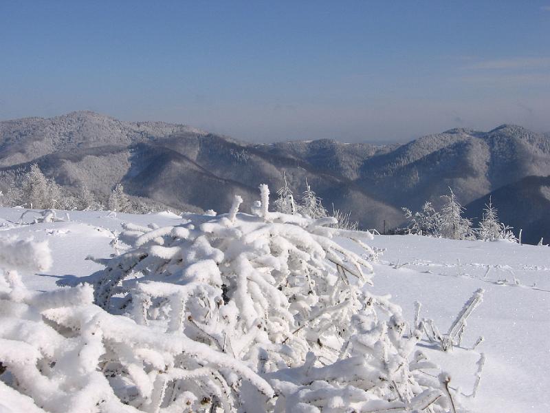 luban_jb_0255.jpg