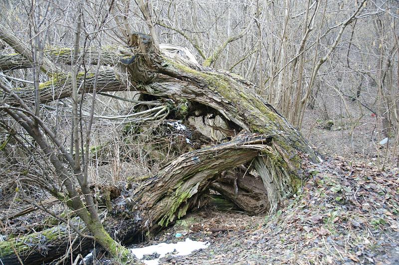 dolinki_ga_03072.jpg