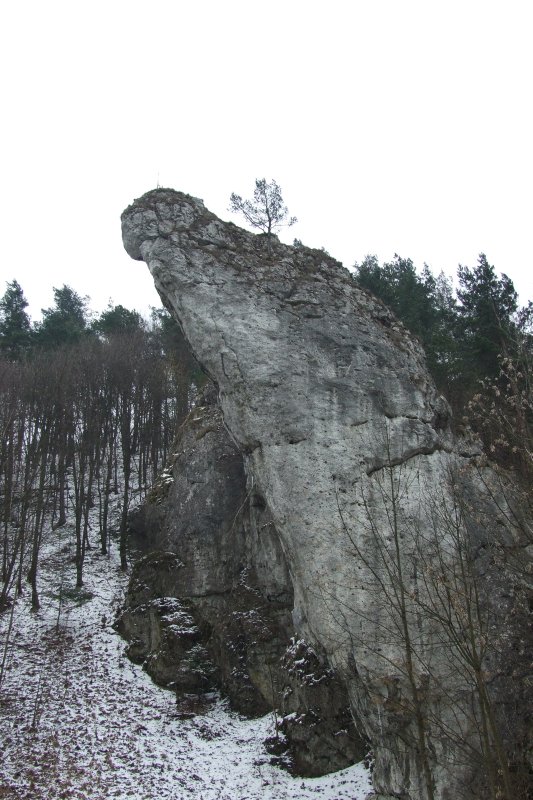 dolinki_mw_008.jpg