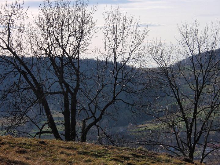 modyn_bg_0317.jpg