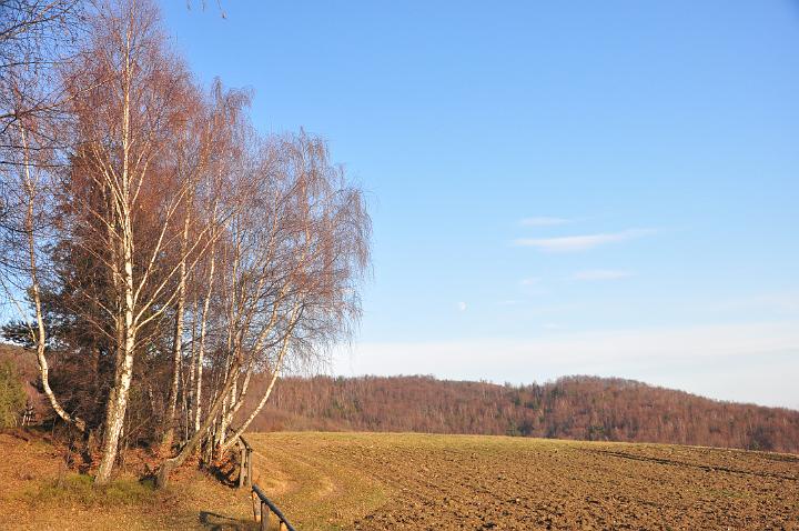 modyn_sk_4544.jpg